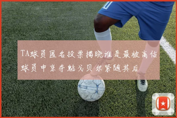 TA球员匿名投票揭晓谁是最被高估球员申京夺魁戈贝尔紧随其后
