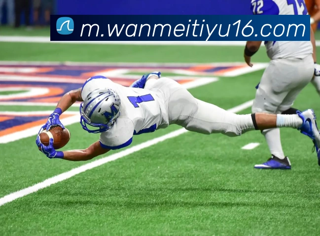 完美体育发展历程